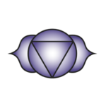 IndigoEnergy